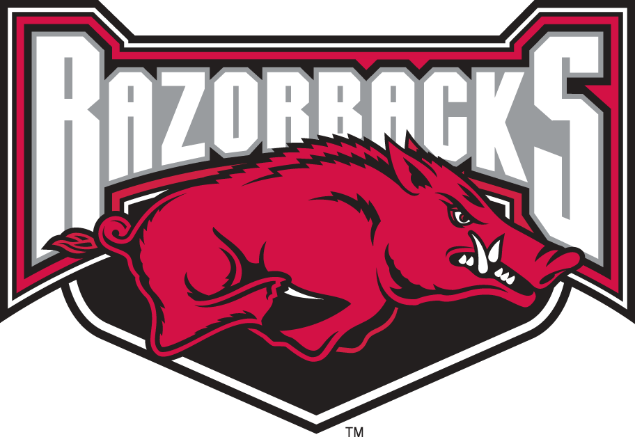 Arkansas Razorbacks 2001-2008 Alternate Logo t shirts DIY iron ons v2